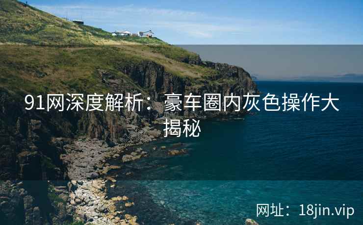 91网深度解析：豪车圈内灰色操作大揭秘