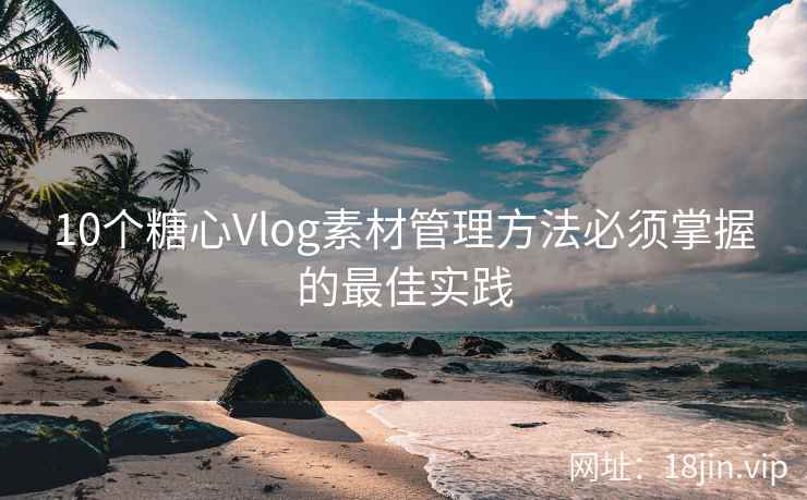 10个糖心Vlog素材管理方法必须掌握的最佳实践  第2张