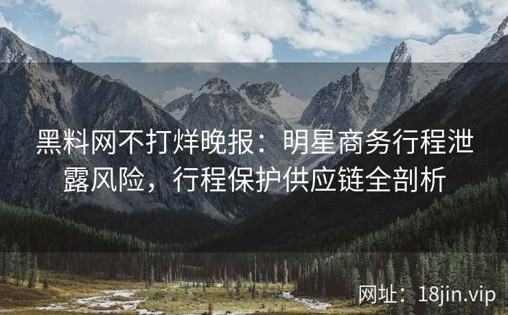 黑料网不打烊晚报：明星商务行程泄露风险，行程保护供应链全剖析