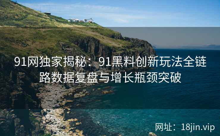 91网独家揭秘：91黑料创新玩法全链路数据复盘与增长瓶颈突破