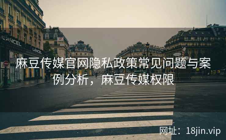 麻豆传媒官网隐私政策常见问题与案例分析，麻豆传媒权限