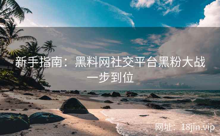 新手指南：黑料网社交平台黑粉大战一步到位