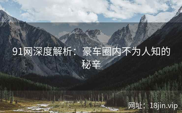 91网深度解析：豪车圈内不为人知的秘辛