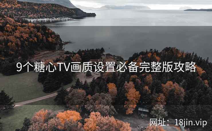 9个糖心TV画质设置必备完整版攻略