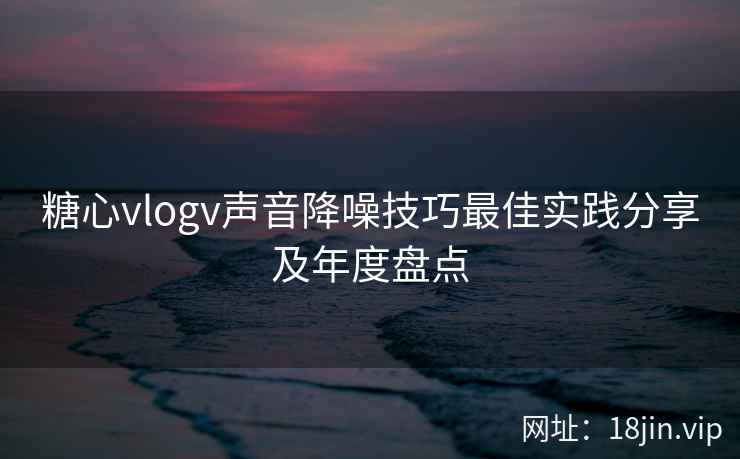 糖心vlogv声音降噪技巧最佳实践分享及年度盘点