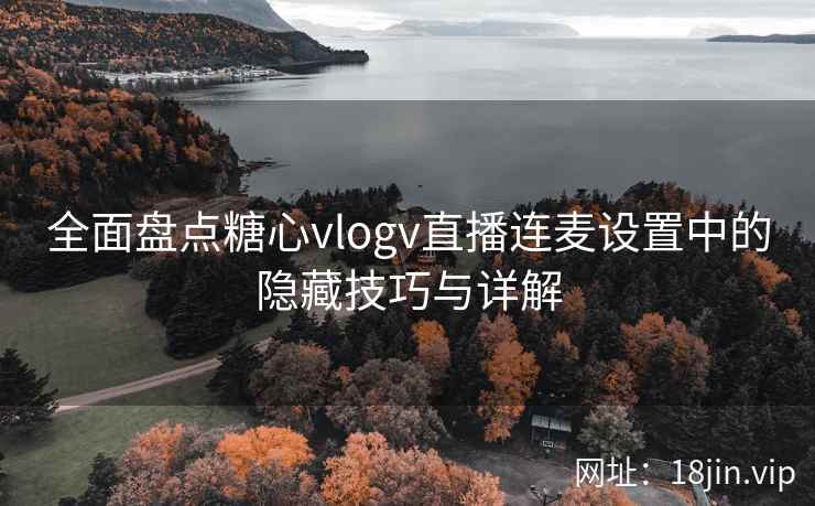 全面盘点糖心vlogv直播连麦设置中的隐藏技巧与详解