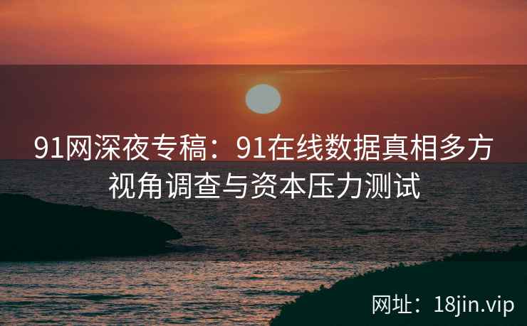 91网深夜专稿：91在线数据真相多方视角调查与资本压力测试  第2张