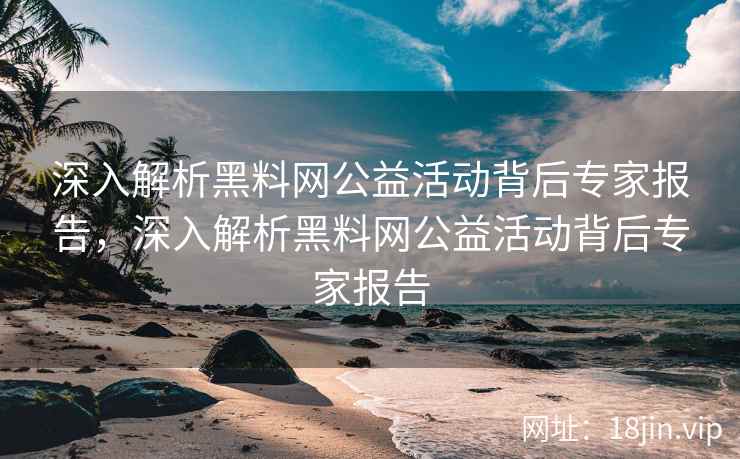 深入解析黑料网公益活动背后专家报告，深入解析黑料网公益活动背后专家报告  第2张