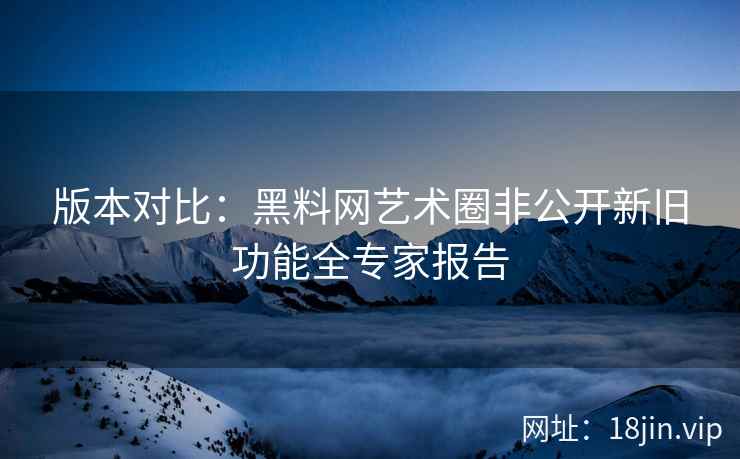 版本对比：黑料网艺术圈非公开新旧功能全专家报告  第2张