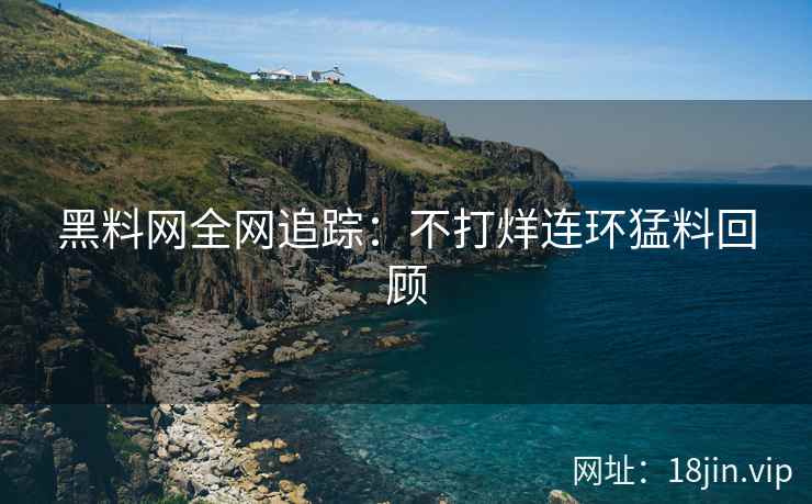黑料网全网追踪：不打烊连环猛料回顾  第2张